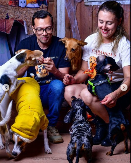 Equipe Cãoramelo® com os dogs - Creche e hotel pet Campo Grande MS